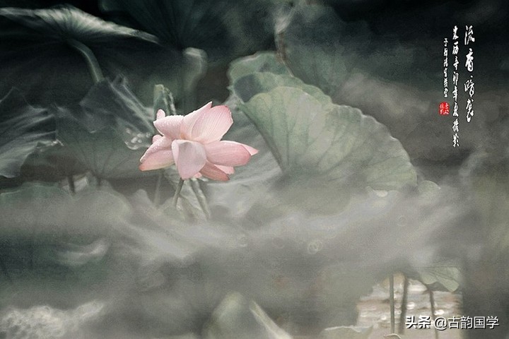 古代客套话那么富有诗意 (古人客套话大全)