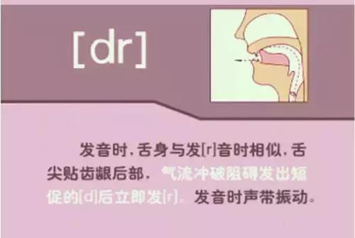 海伦英语48个音标发音视频教程,英语音标48个发音教学视频