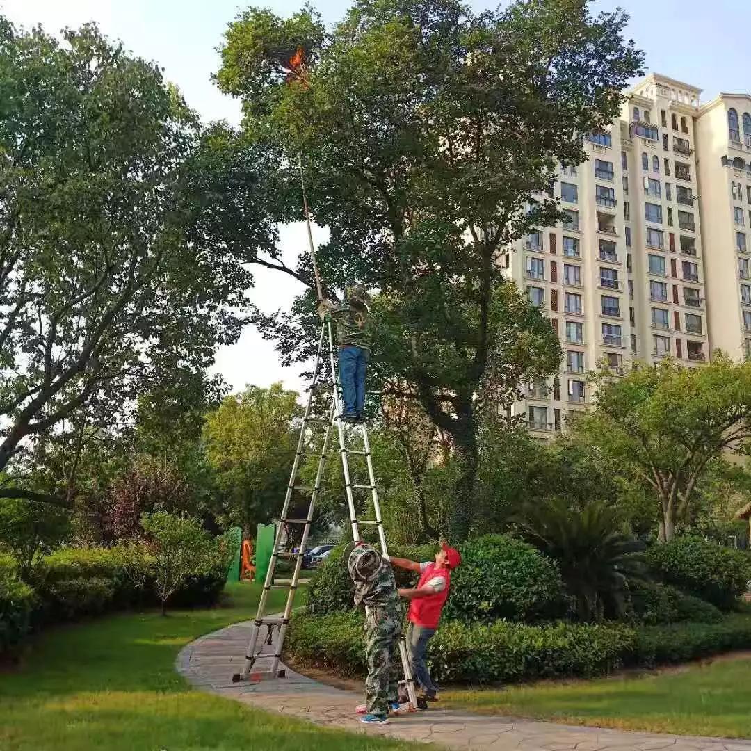 一位外地来的墙纸工,努力多少年,可以买上车子房子?