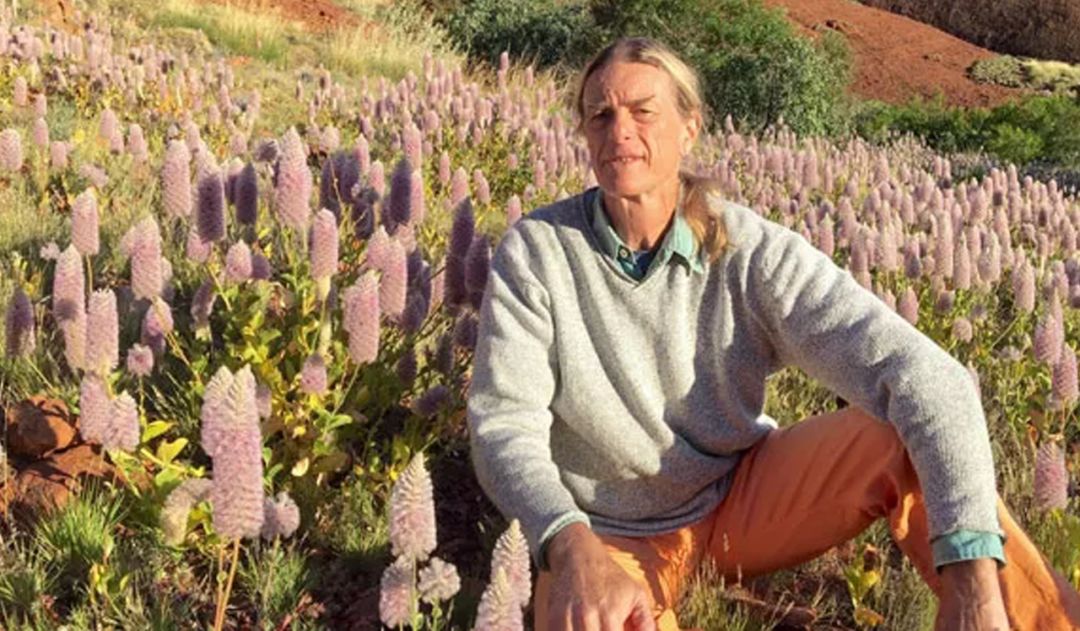 鏈堜寒鏄熷骇鎬庢牱搴斿璐熼潰鎯呯华,鏈堜寒鏄熷骇鎯呯华鐤楁剤