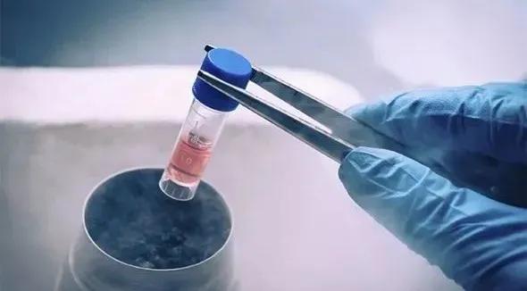 一级冻胚解冻降级的可能性,冻胚降级后能着床吗