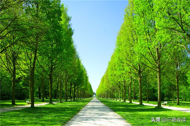 与其多心不如少根筋的句子,与其多心不如少根筋的意思