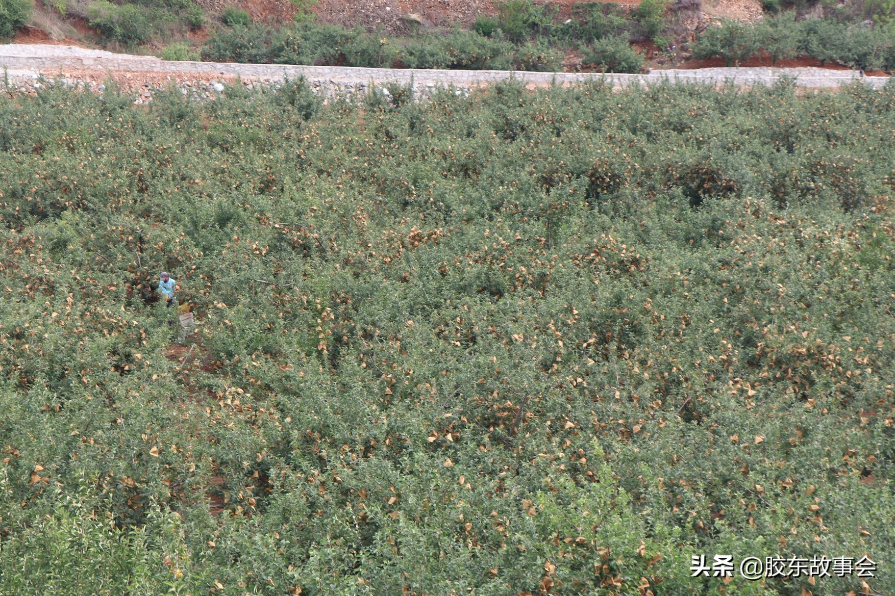 烟台栖霞95后的姑娘,95后姑娘回忆童年