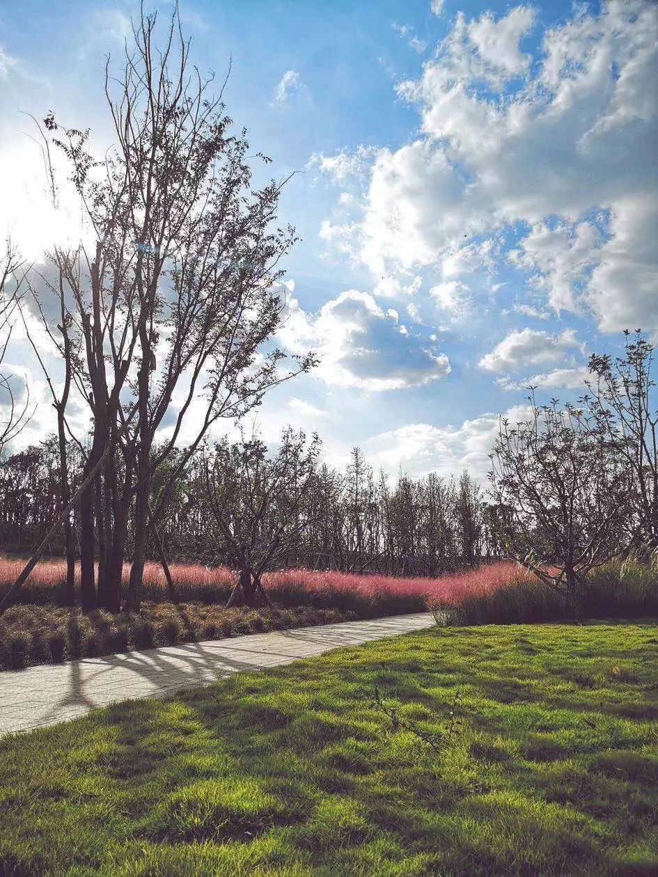 鎴愰兘鍘嗗彶鎺掑悕,鎴愰兘鐑瘝