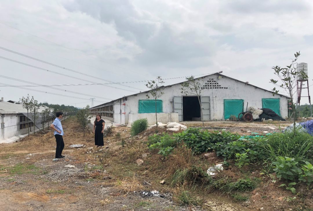 安徽省三下乡,三下乡凝聚青春力量助力振兴乡村