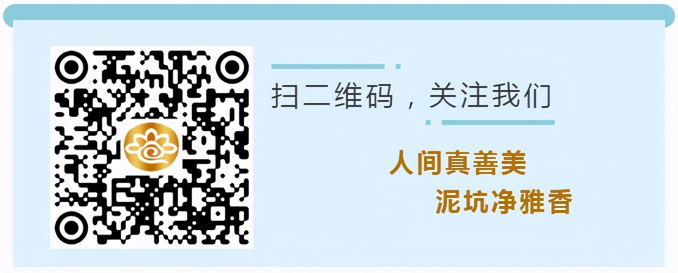 泥坑酒净雅香,泥坑酒净雅香55度