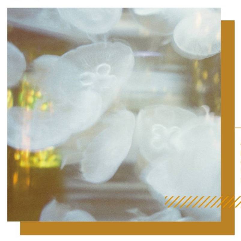 便宜又好用的手帐和社团胶带,手帐胶带分享推荐