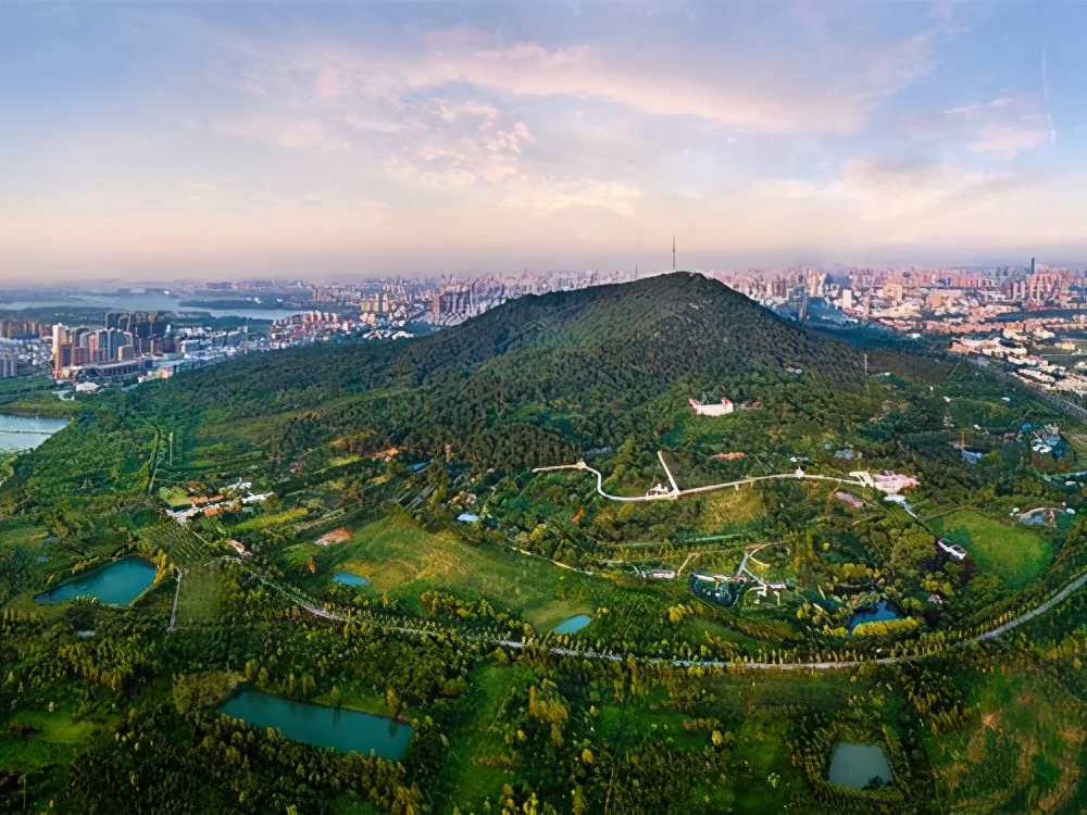 八月合肥必去的13个免费景点,合肥旅游免费景区推荐