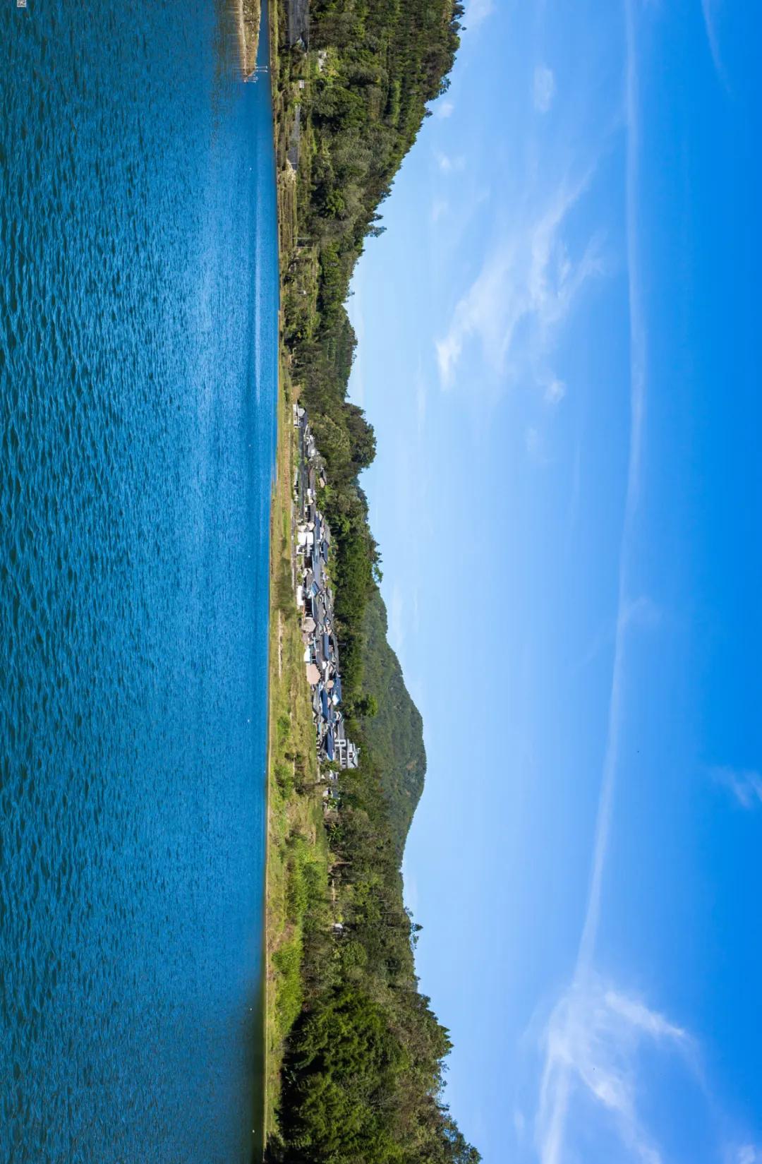 这是一个充满生机的公园怎么说,这是一个充满生机的国度朗诵