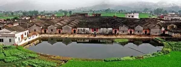 广东兴宁：女性回乡创业的成功案例