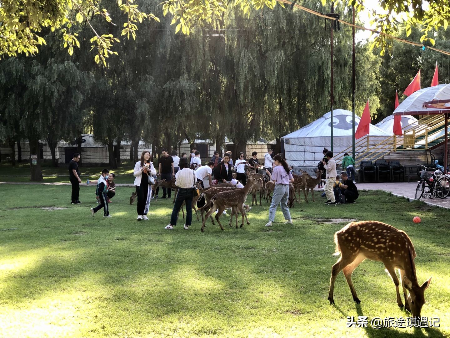 <html>
<head><title>502BadGateway</title></head>
<body>
<center><h1>502BadGateway</h1></center>
<hr><center>nginx</center>
</body>
</html>
<!--apaddingtodisableMSIEandChromefriendlyerrorpage-->
<!--apaddingtodisableMSIEandChromefriendlyerrorpage-->
<!--apaddingtodisableMSIEandChromefriendlyerrorpage-->
<!--apaddingtodisableMSIEandChromefriendlyerrorpage-->
<!--apaddingtodisableMSIEandChromefriendlyerrorpage-->
<!--apaddingtodisableMSIEandChromefriendlyerrorpage-->
