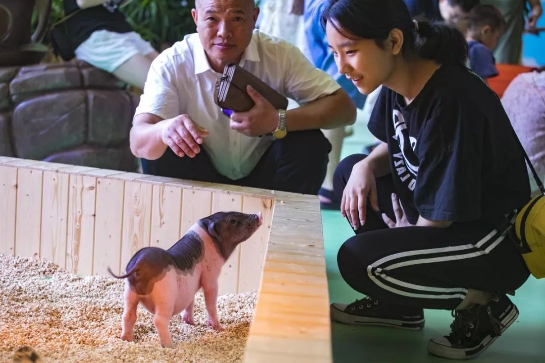 海昌萌宠乐园在几楼,海昌萌宠南通