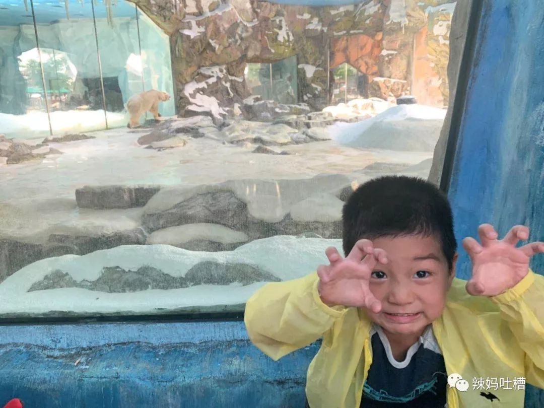 珠海长隆企鹅海洋王国攻略,珠海长隆海洋王国攻略2天亲子游