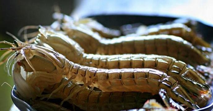 皮皮虾制品镉含量是否受管控,皮皮虾镉超标去复检要带虾去吗