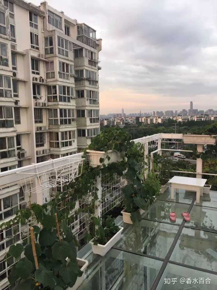 买了高层的人怎么样了,买了顶楼的房子后悔了吗