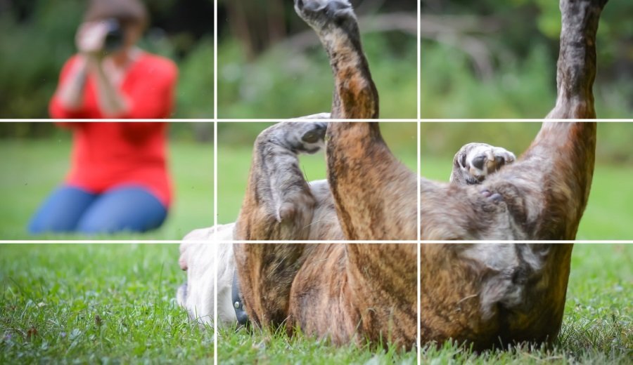 九宫格构图和三分法构图,三分线构图与黄金构图区别