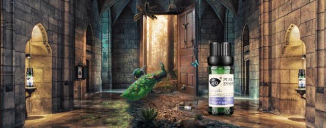 国货护肤好用商品品牌,国货护肤好用单品推荐知乎