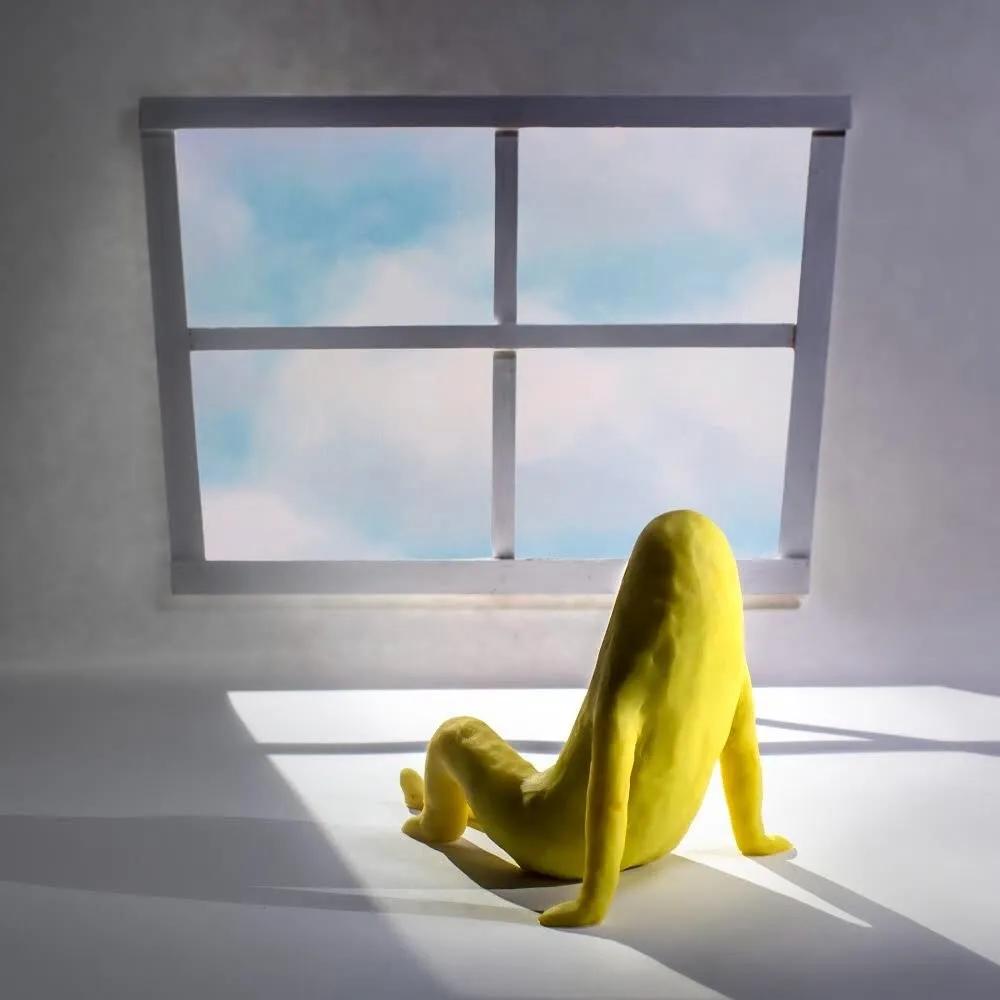 纽约时报去年的文章,纽约时报年度最佳图书