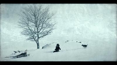 可怕的恶犬电影,伤害小狗电影