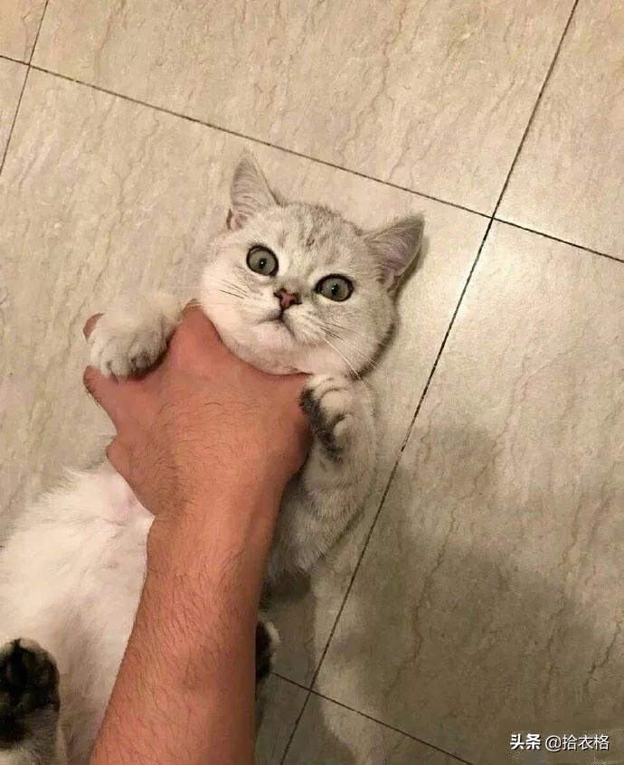 女生一定要穿安全裤吗,女生关于安全裤的重要性