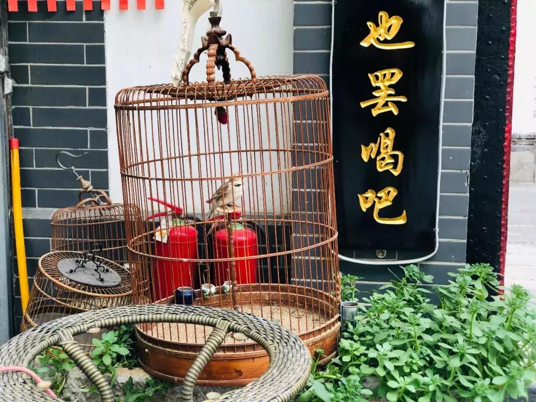 生活在济南城市怎么样才能快乐,生活在老城区的感受