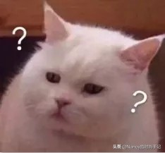 娱乐圈流行“穿假货”？Lisa、碧梨竟然都是“山寨粉”