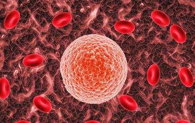 胆结石患者喝酒会眩晕吗,胆结石喝酒引发胆囊炎