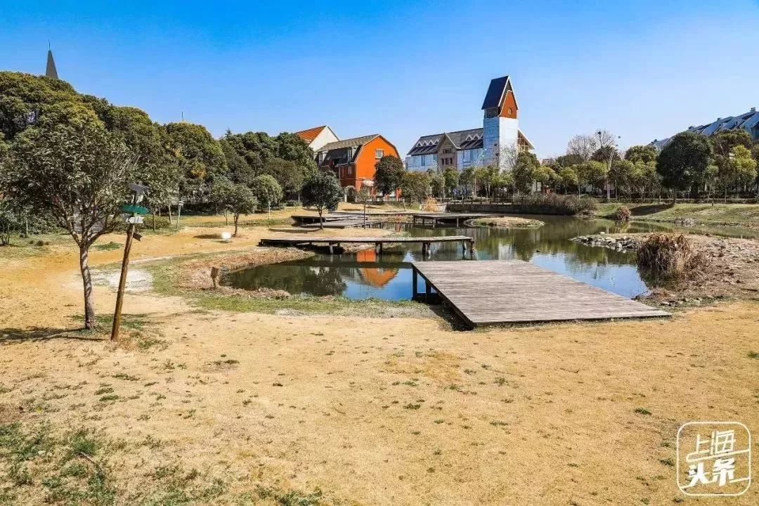 生日当天上海免费景点,上海网红打卡地点景点免费