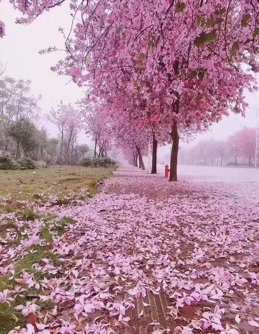 退休后就去国内旅游,退休后必去的100个景点