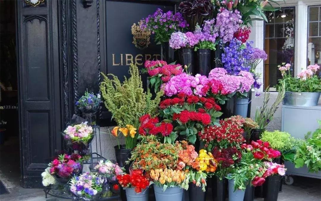 开网上花店的步骤,手把手教你开花店