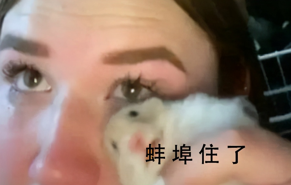 接地气但不能接地府之类的梗,可以接地气但不能接地府梗抖音