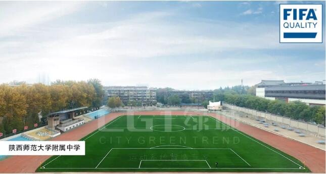 疫情后的体育行业的转变,疫情过后的新型产品