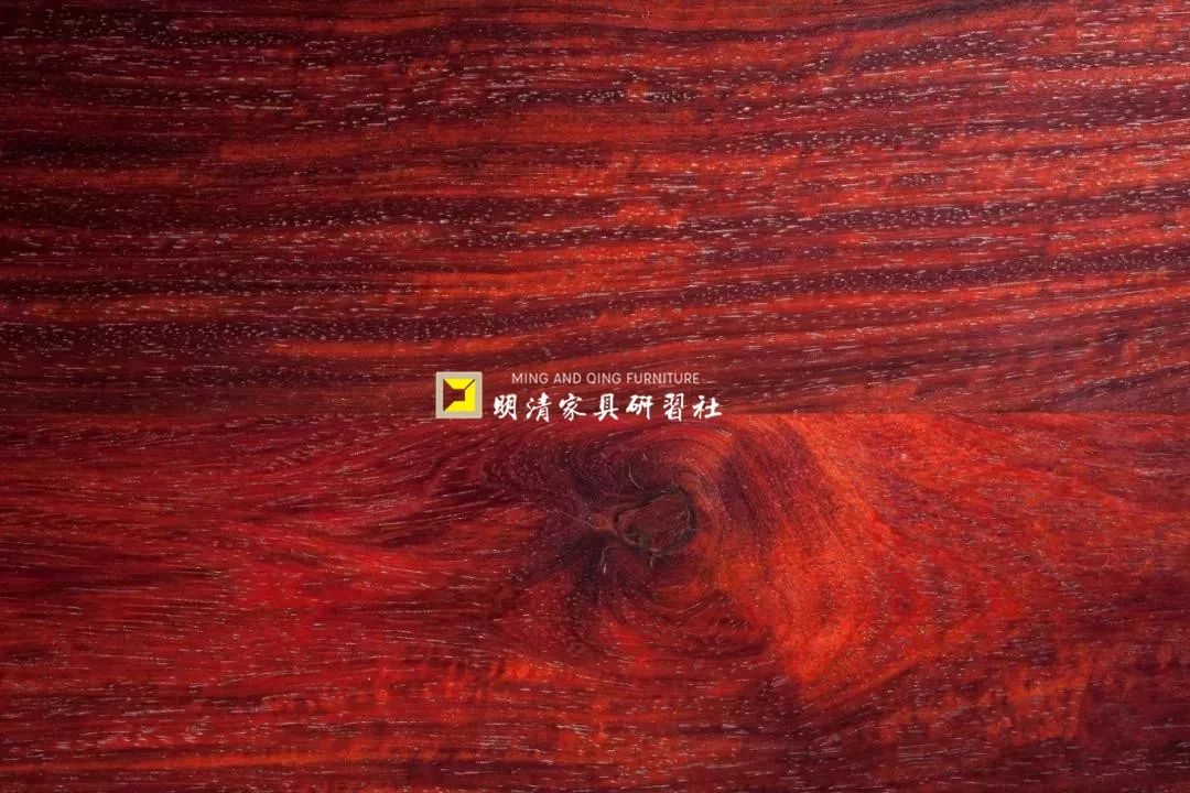 紫檀的真实身份,紫檀的一生