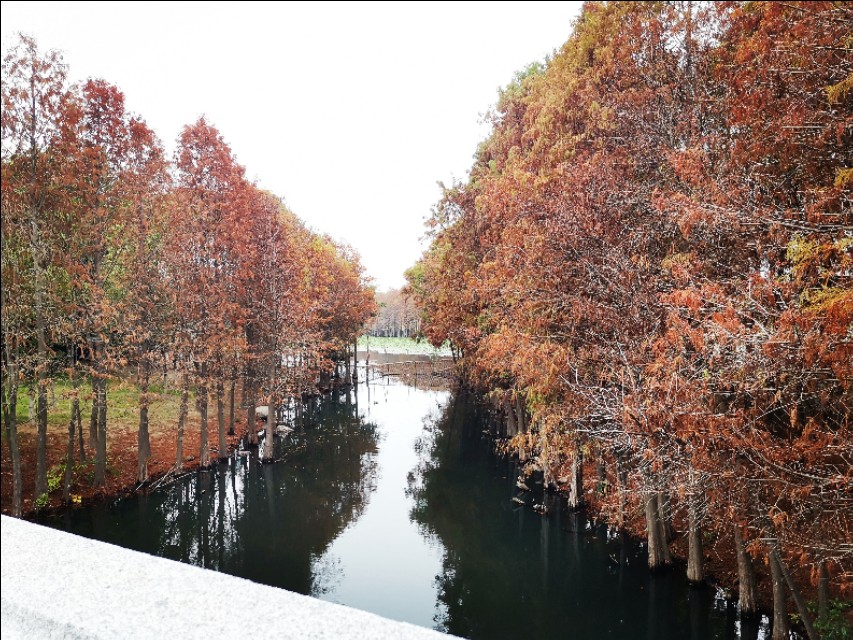 厦门园博苑带娃游玩攻略,厦门遛娃公园