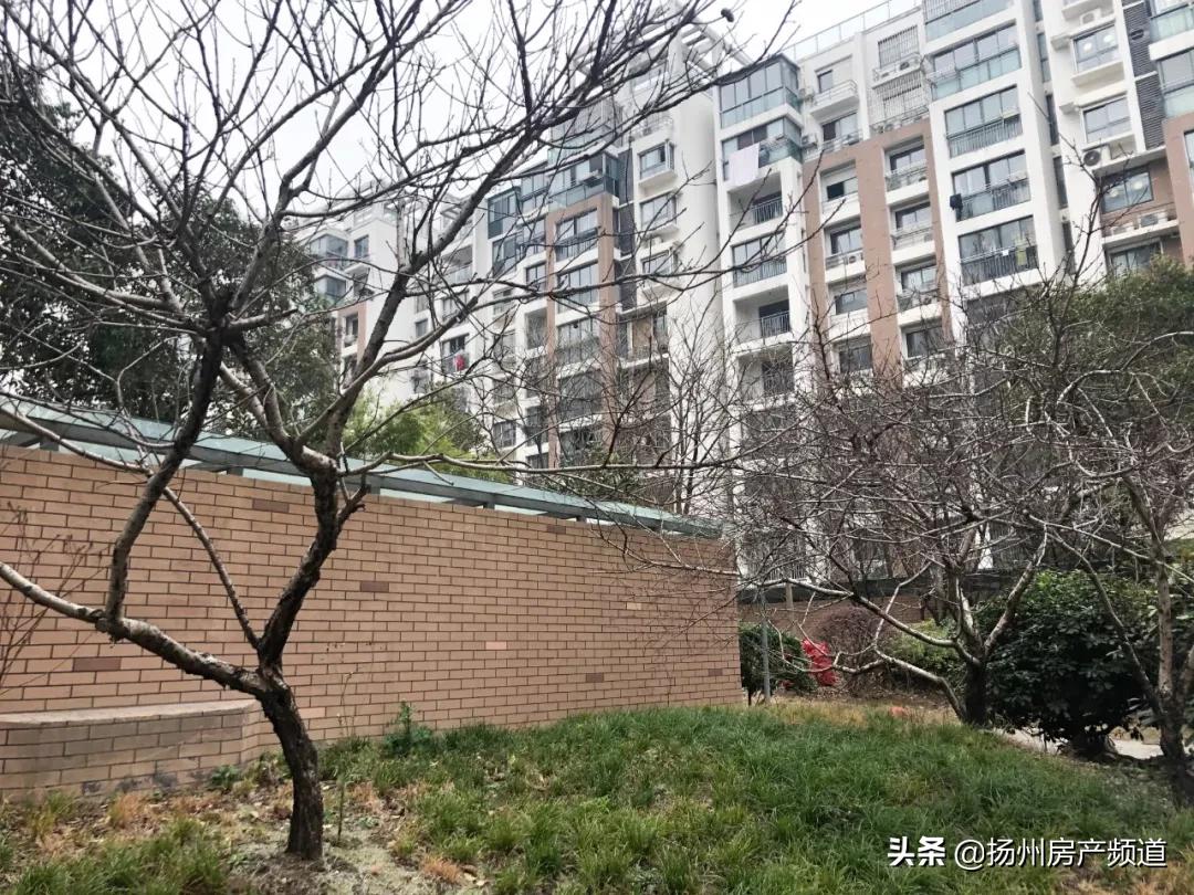 扬州房价因为什么下跌,扬州的房价到底降没降