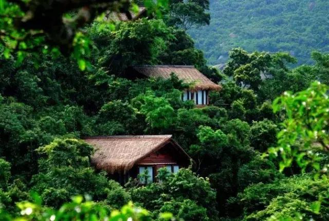 国内野奢酒店民宿排名榜,国内30家顶级野奢酒店