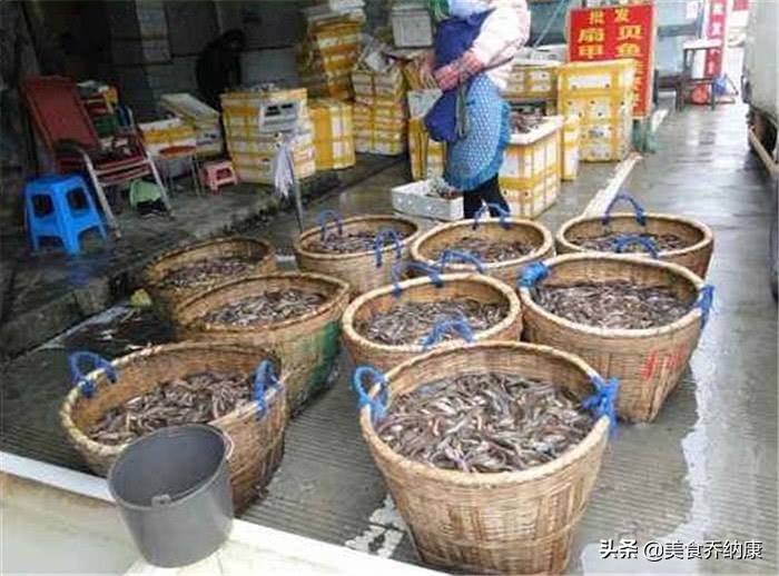 价格低迷3个月,至今难上8元,渔民却已经开始投苗