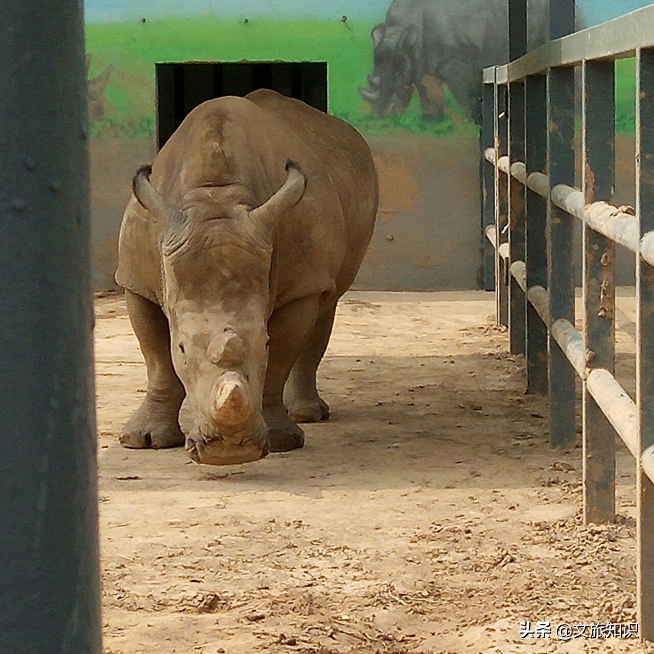 山东德州动植物园旅游区,德州市动植物园视频