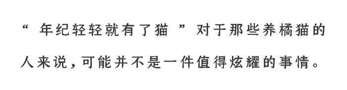 猫圈玄学,十橘九渣