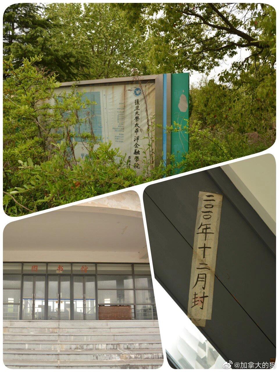 南汇大学城好吗,南汇新城发展较弱的原因