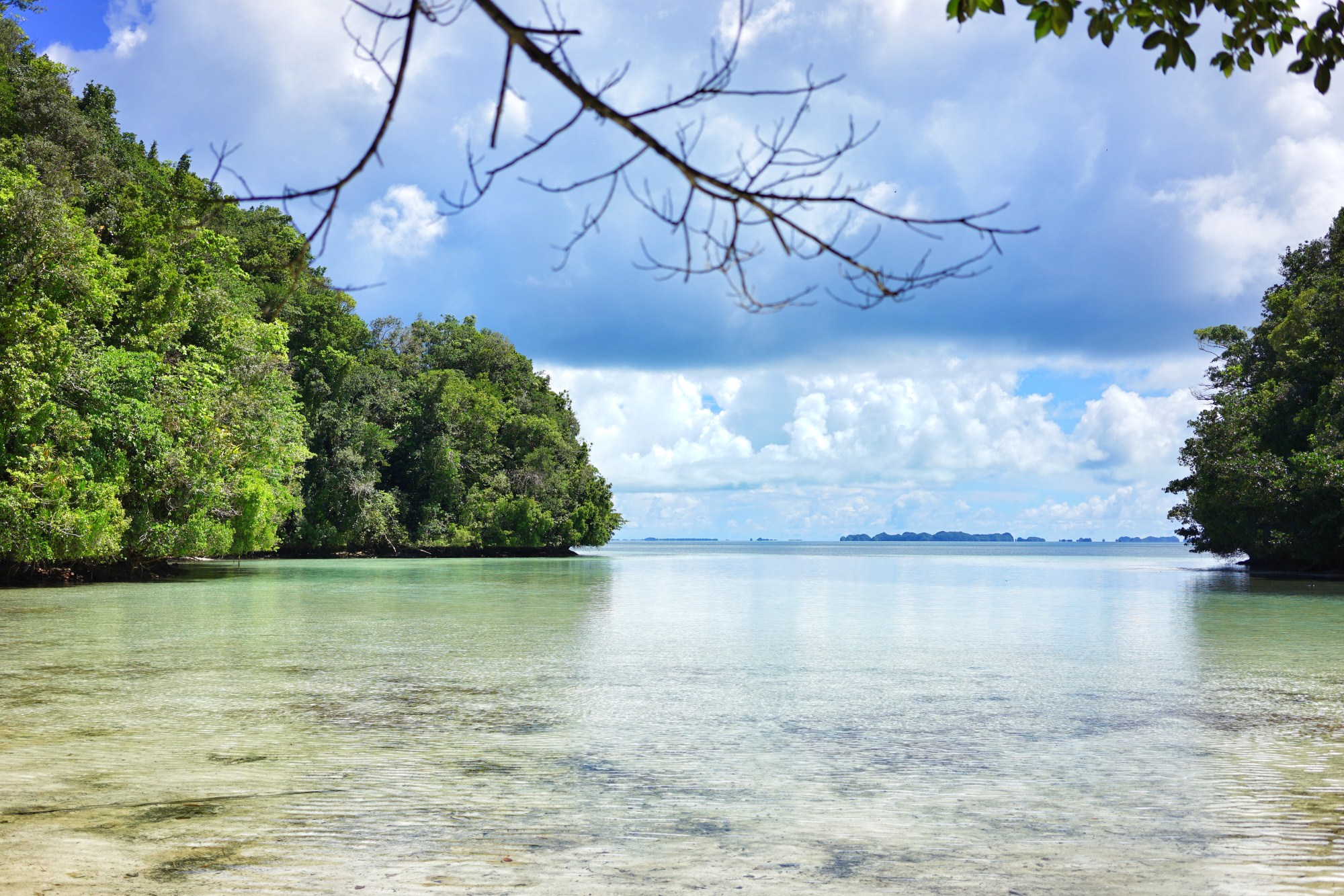 一定是特别的缘分——帕劳,再遇见「周若雪Patty」·上