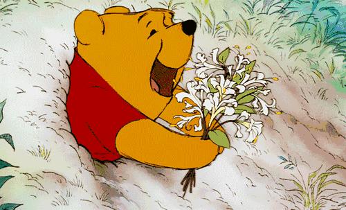 情人节浪漫表白图,情人节的浪漫行程