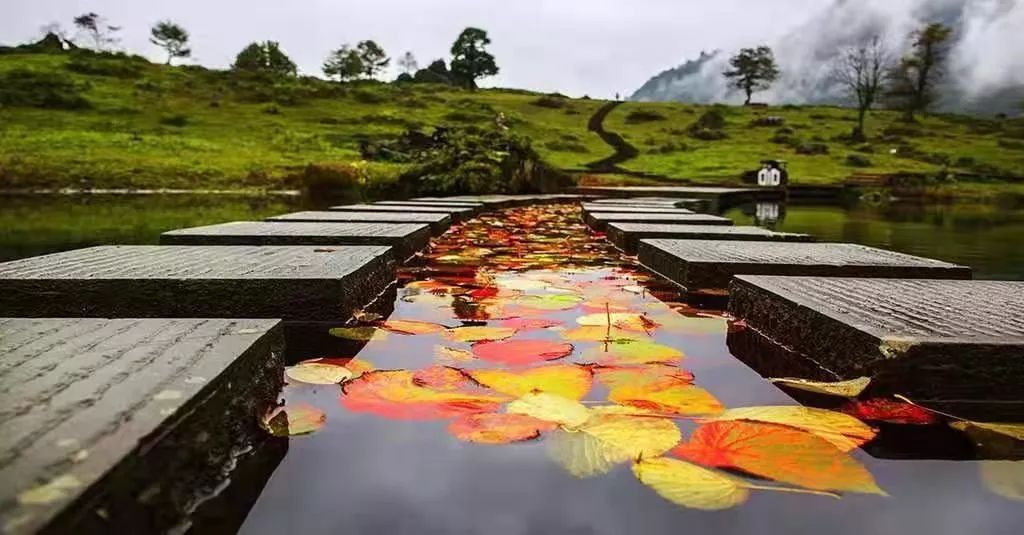 红了！黑竹沟迎来颜值巅峰，分分钟带你穿越五彩童话世界