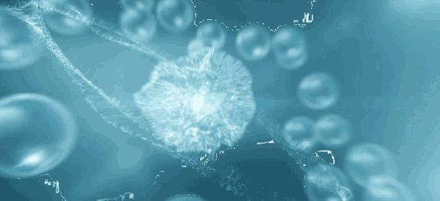 华熙生物5d玻尿酸是什么,华熙生物的玻尿酸怎么开发出来的