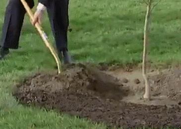 显微镜的价格最便宜的,日本口袋放大120倍显微镜