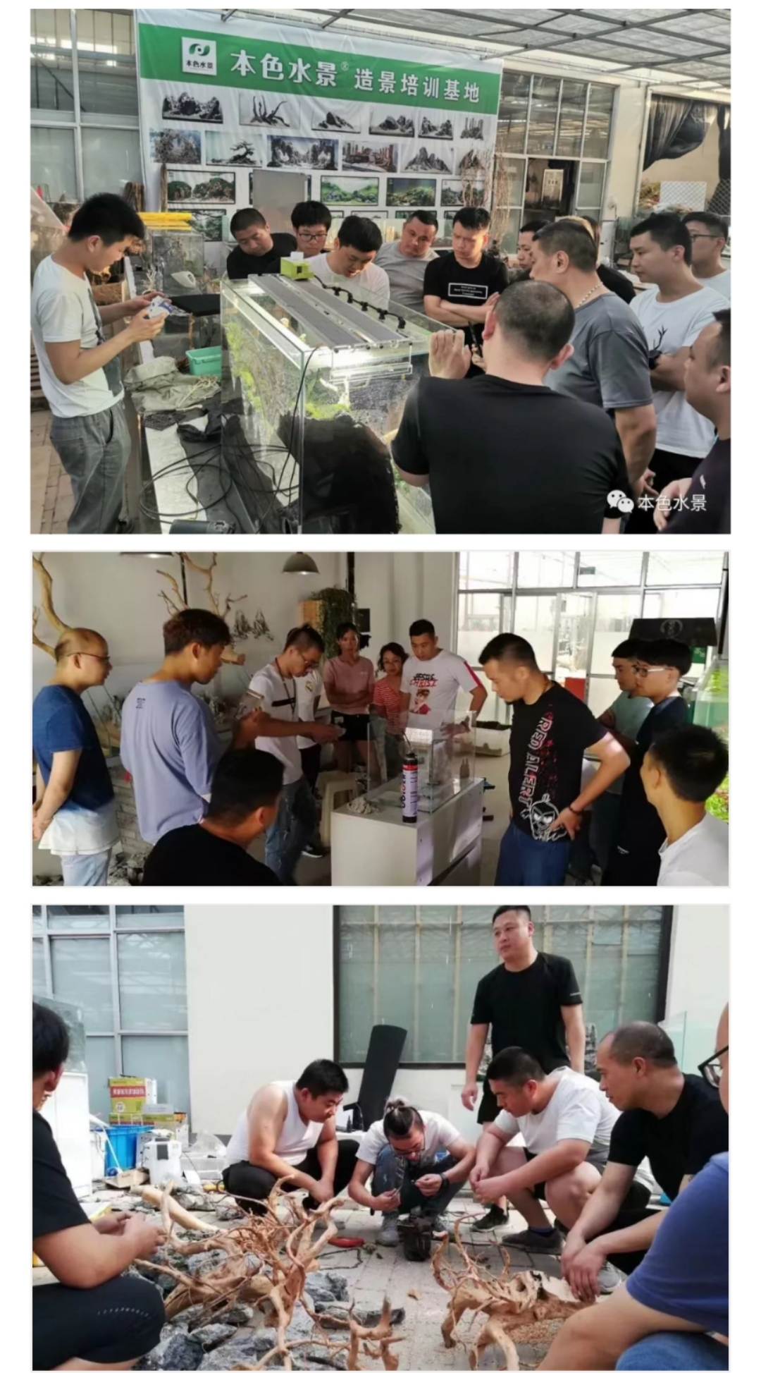 本色水景|教你学水景，草缸除螺小经验，水草缸造景学习