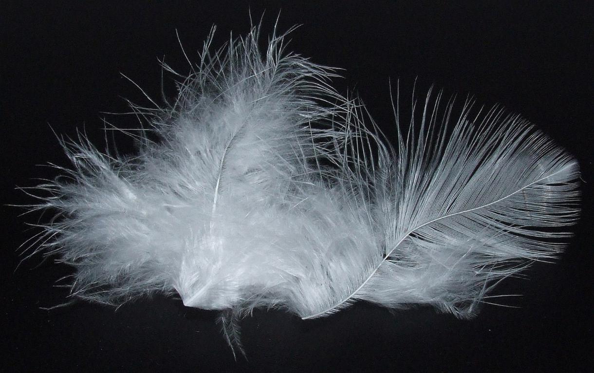 国产高品质白鹅绒已经“历史新低”，国产羽绒被值得买吗？