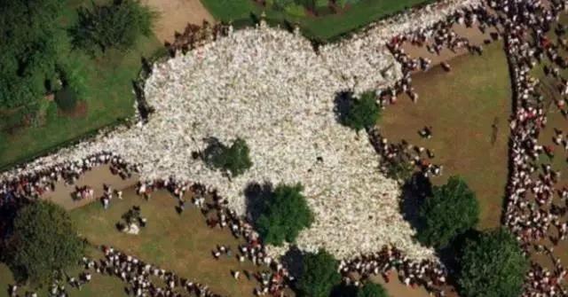 中国足球曾9次夺冠,中国足球拿过9届冠军