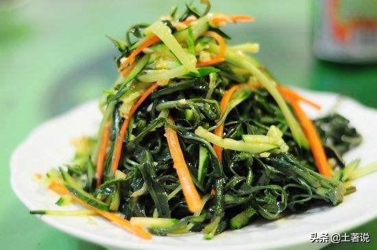 野菜蒲公英图片及识别方法,蒲公英野菜大全配图片和名字