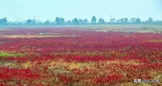 乐亭最美的地方,乐亭县古镇